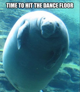 calmingmanatee