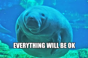 calmingmanatee2