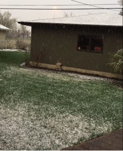 May2015snow